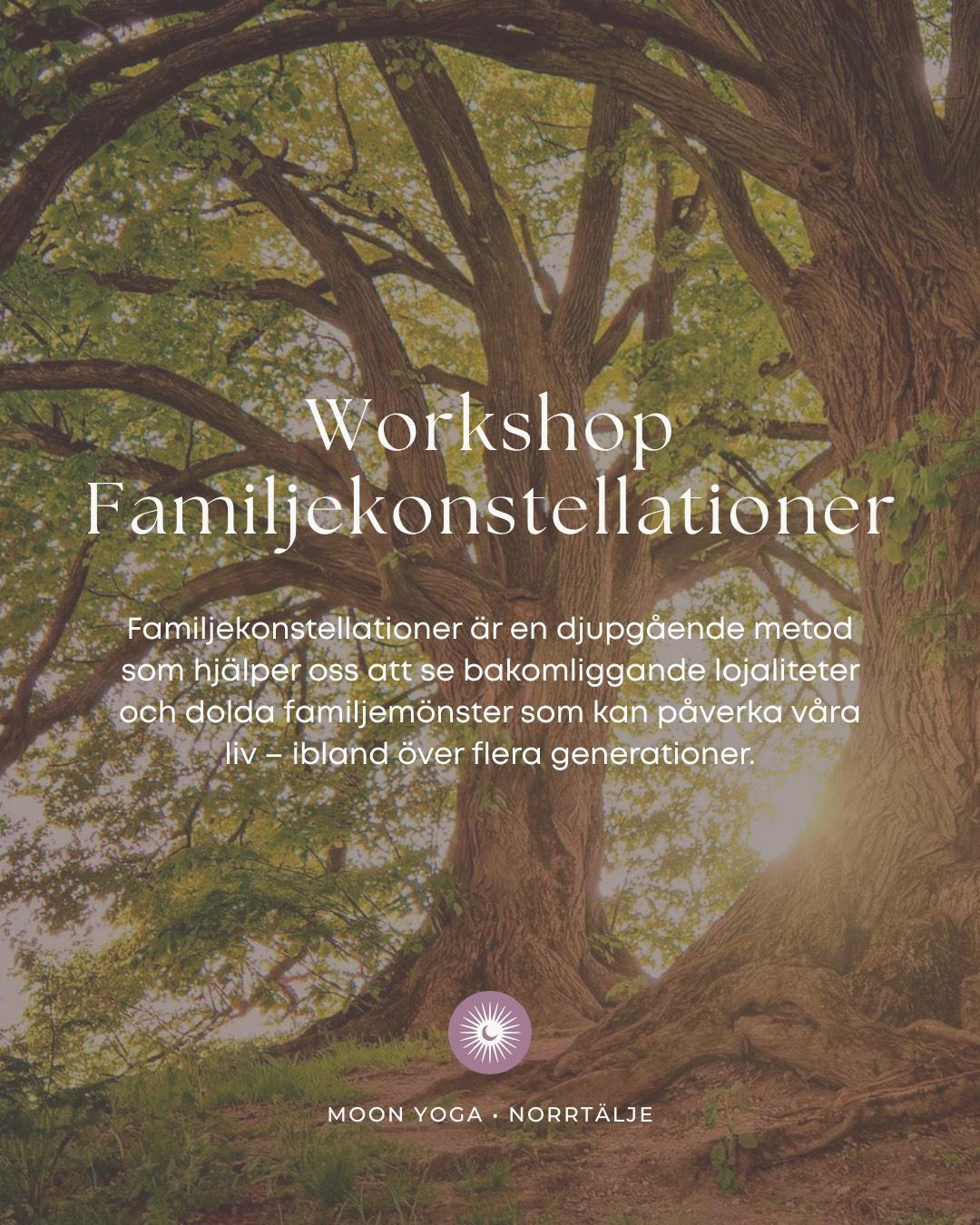 Familjekonstellationer med Cilla Utne