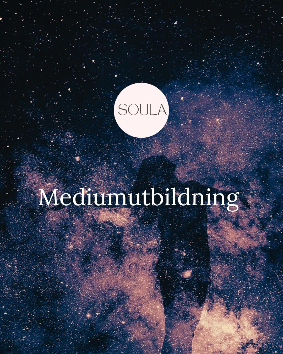 Mediumutbildning delkurs 3
