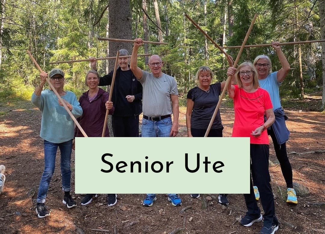 Senior Ute