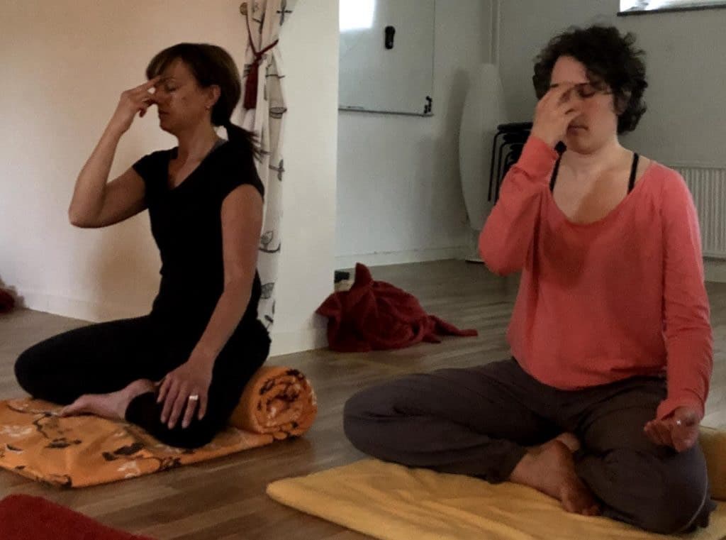 Kurs i klassisk yoga (nivå 1.5) - 8 veckor