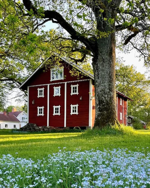 Fötter & Balans på Rimstad gård