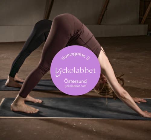 Ashtanga grundkurs