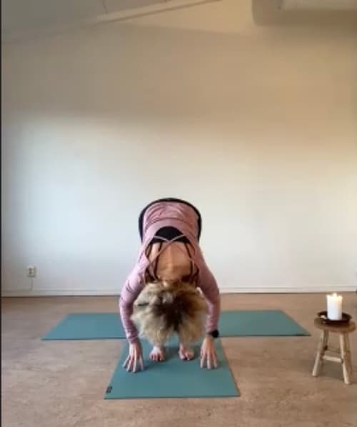 FEEL & HEAL 75 med Minna