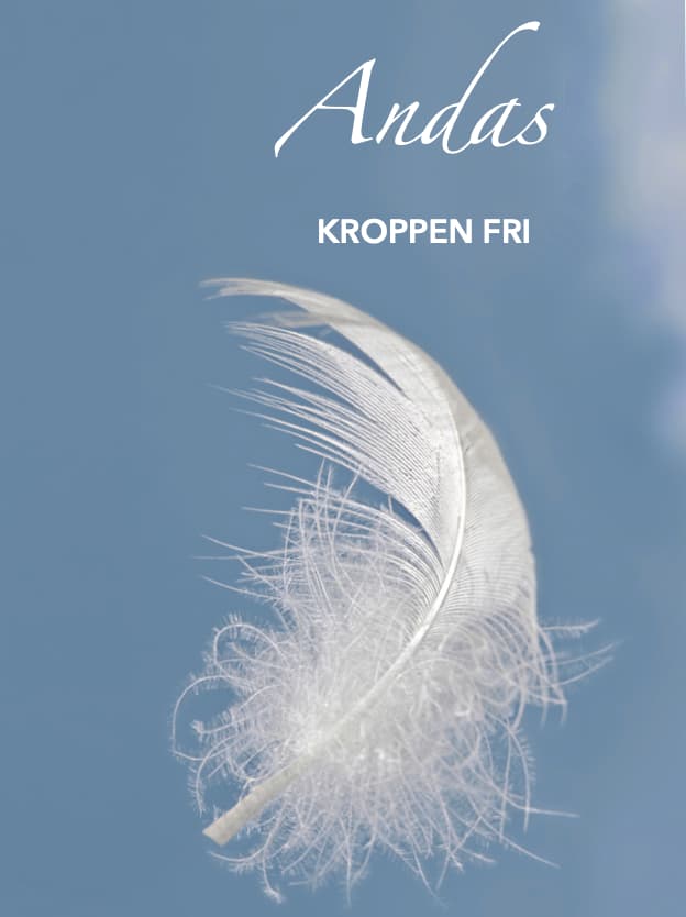 Clarity Breathwork i grupp