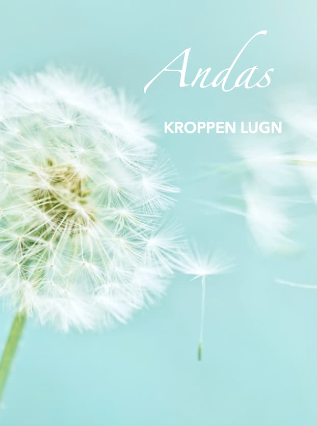 Clarity Breathwork i grupp
