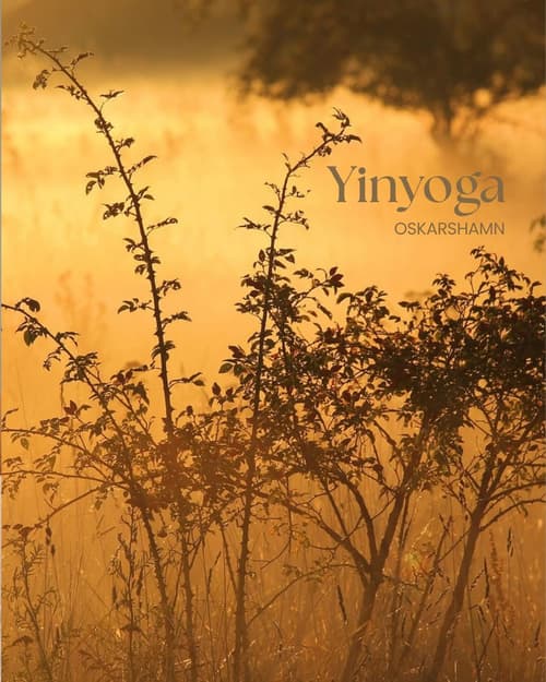 Yinyoga - måndagar 17:00