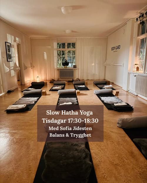 Slow Hatha Yoga - Rörlighet, styrka & vila.