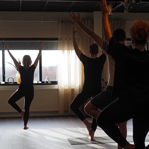 Yin & Yang Yoga med Eva J