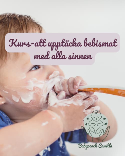 Att upptäcka bebismat med alla sinnen