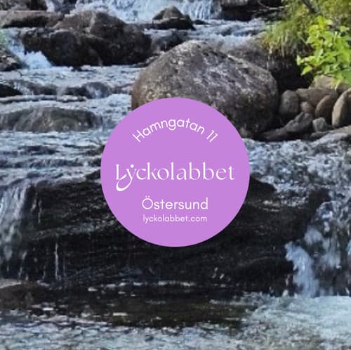 Lyckolabbet