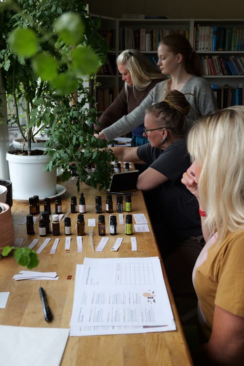 Copenhagen - Botanical Perfume Workshop🌹