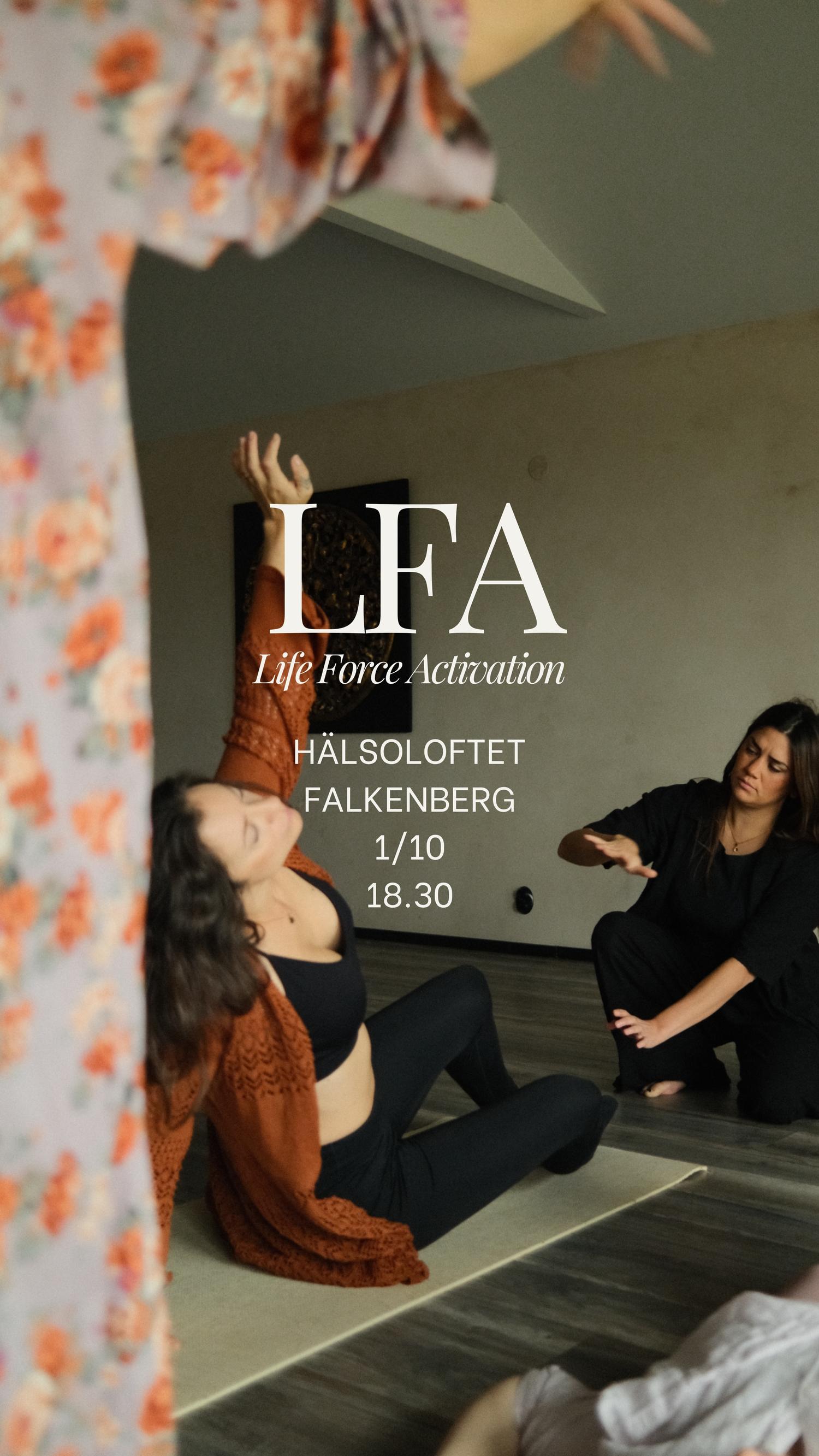 LFA Falkenberg 1/10