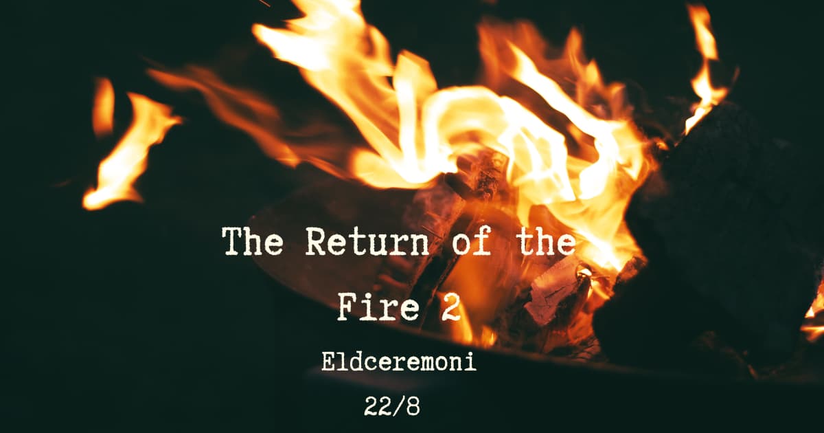 The Return of Fire 2 (Med medicin)