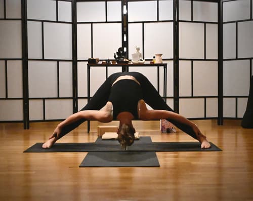 INTROKLASS: PILATES ONLINE