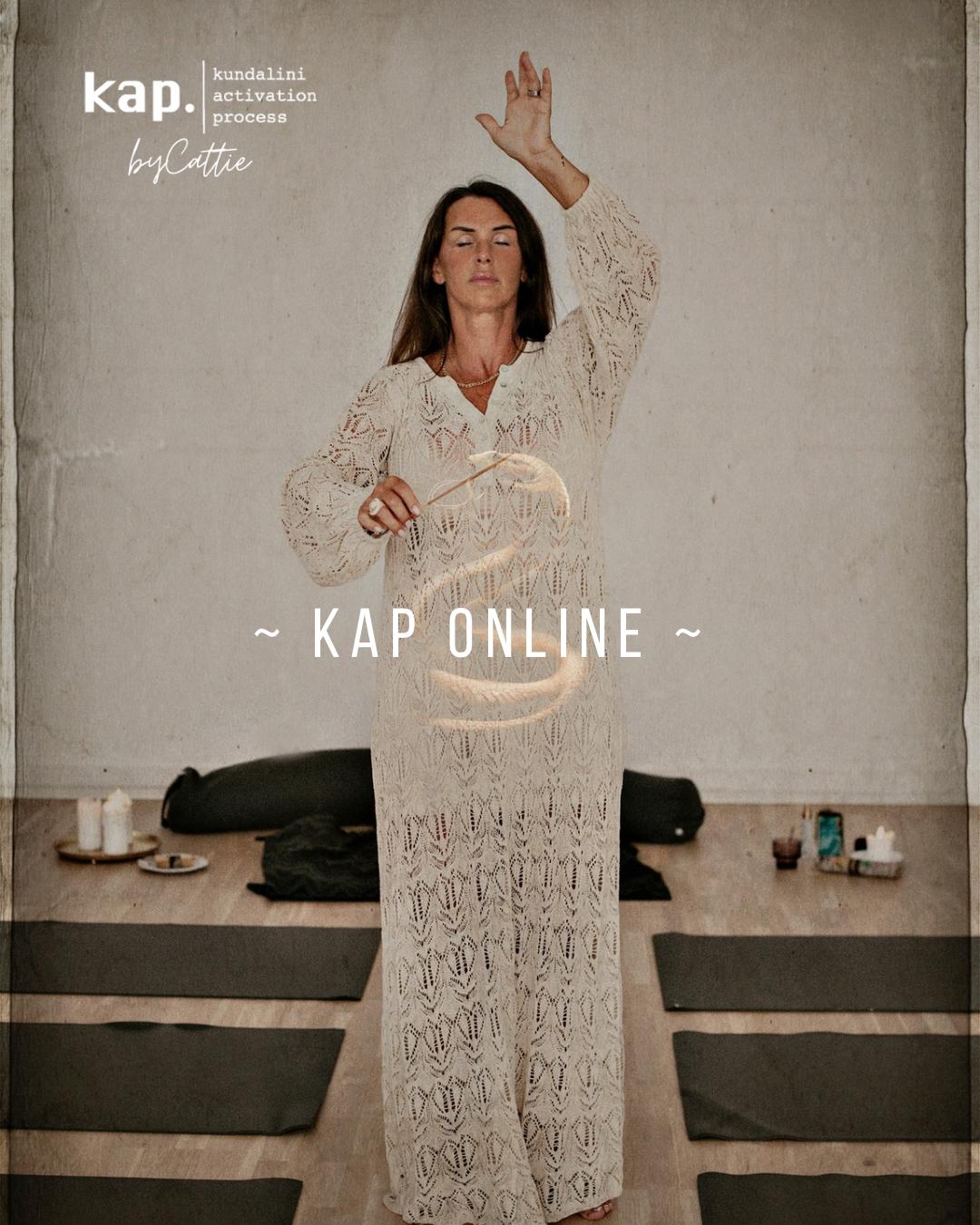 ONLINE KAP ~ transmission