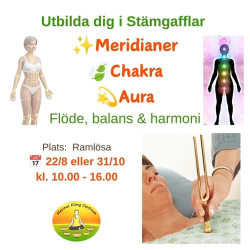 Stämgaffel-kurs: meridianer, chakra- & aura-balansering
