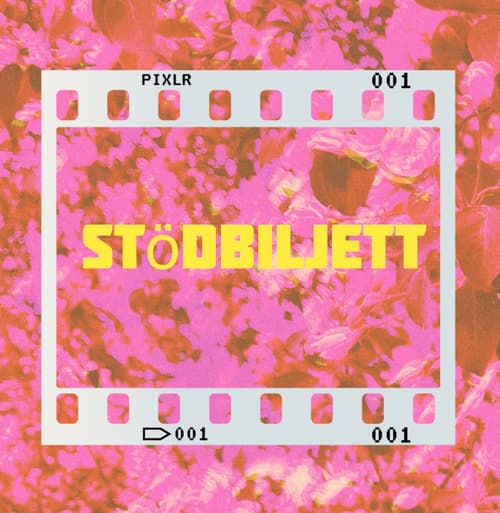 Stödbiljett 💖