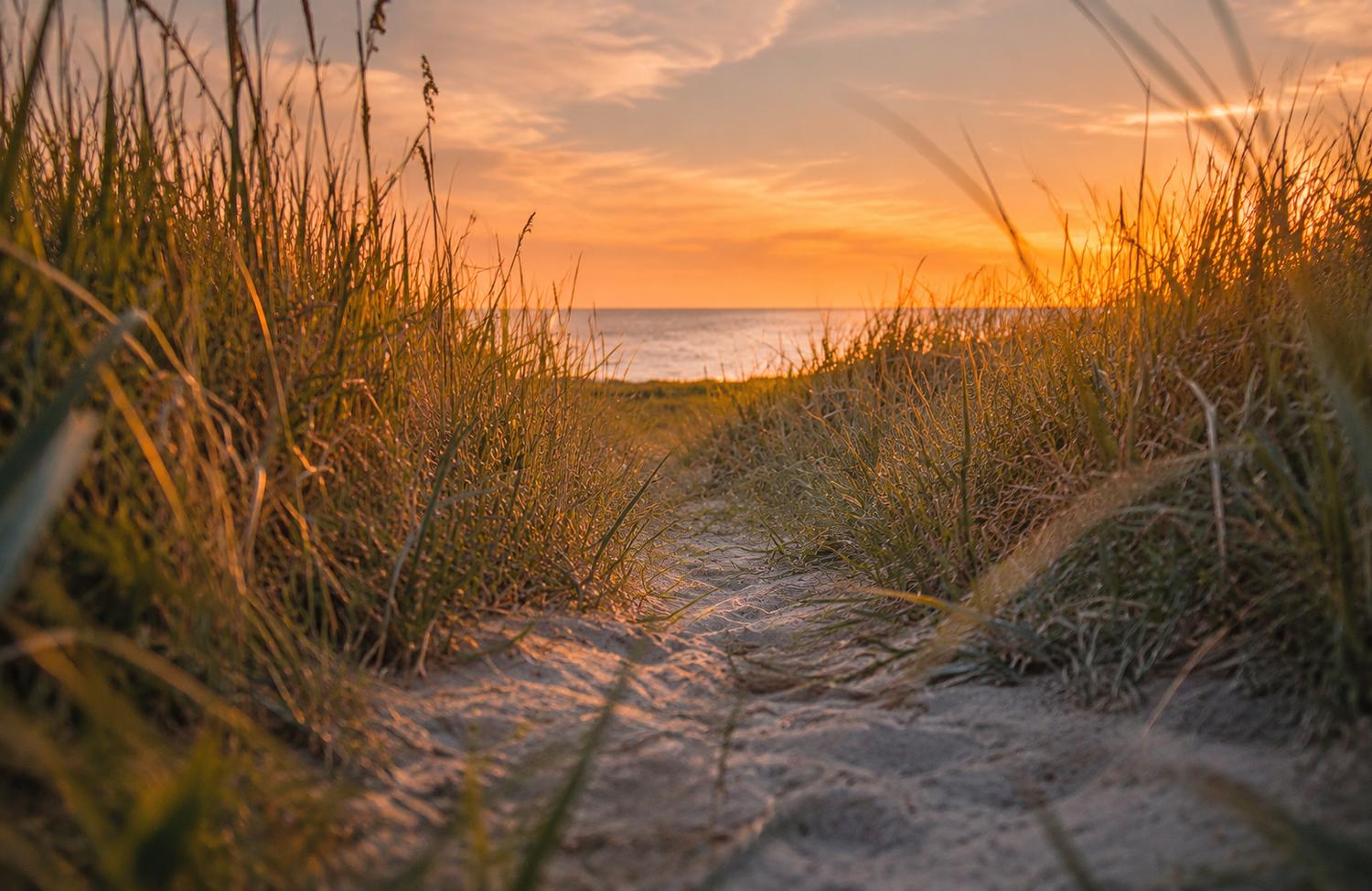 Hittarp - Beach Breathwork Experience đđ«