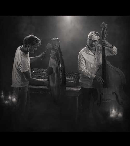 Mada- en ljudresa