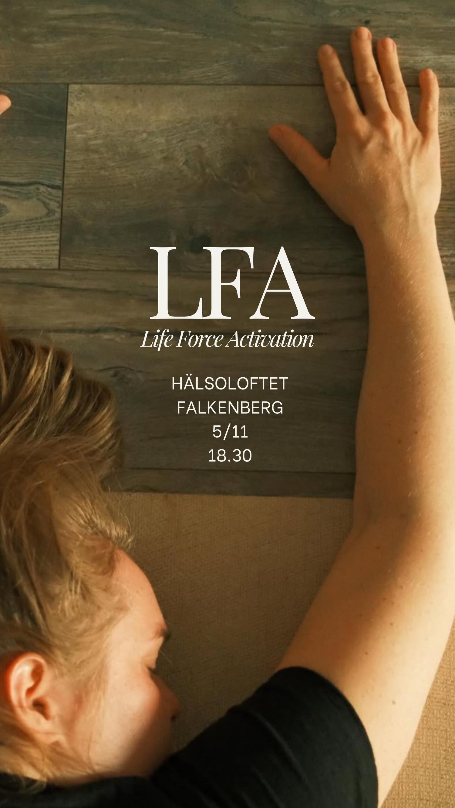 LFA Falkenberg 5/11